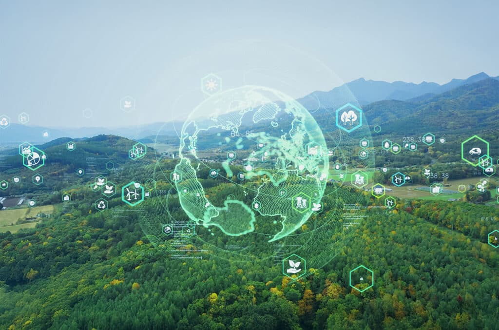 Digitale Daten über einem Wald, Sinnbild für nachhaltige Technologien im Klimaschutz